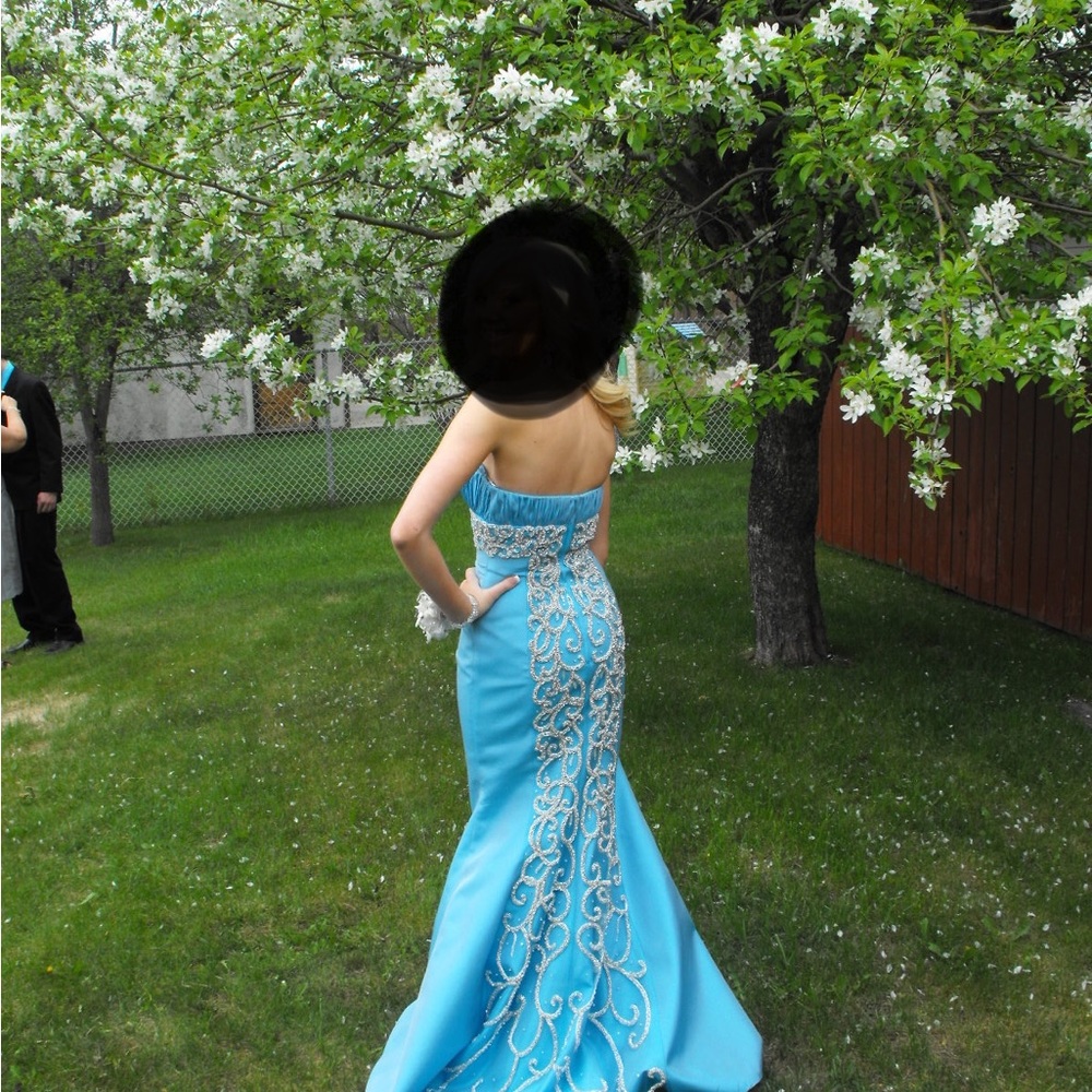 Beautiful Graduation/Formal Gown - Picture 3 of 3